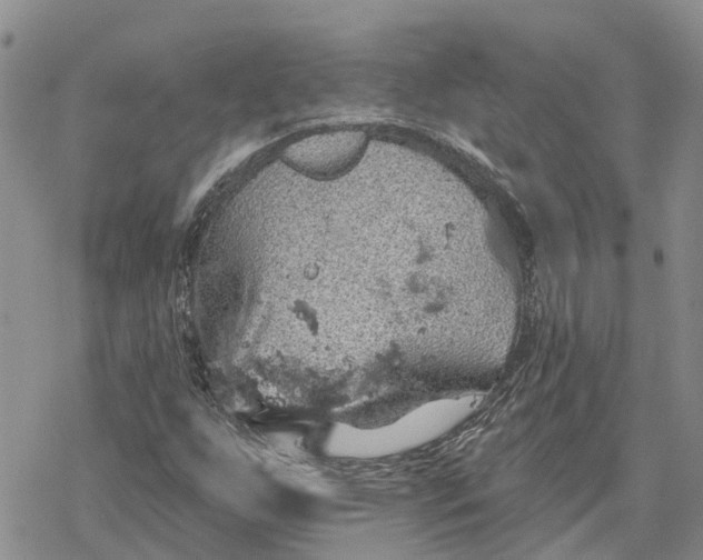 X0000078231255200611251205