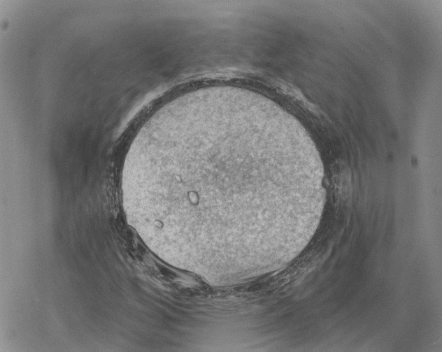 X0000078231256200611251205