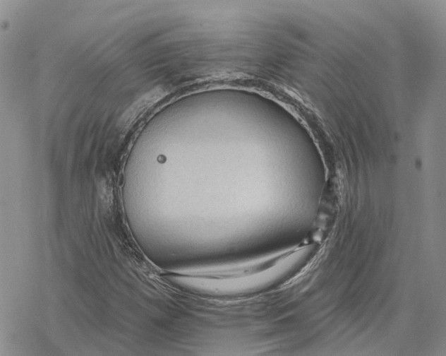 X0000078231257200611251205