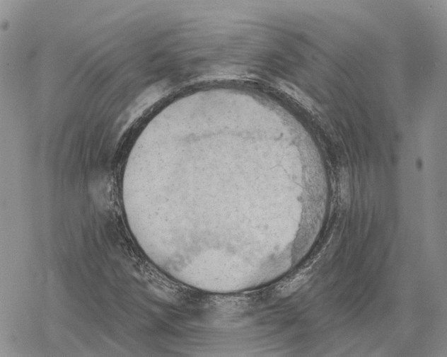 X0000078231258200611251205