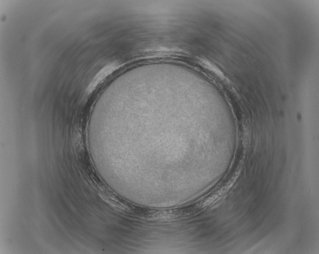 X0000078231259200611251205