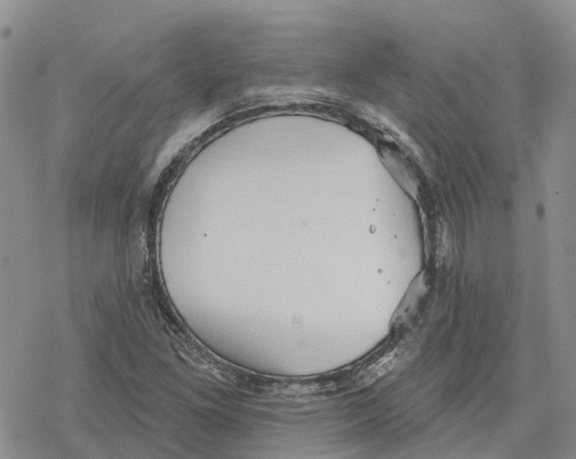 X0000078231261200611251205