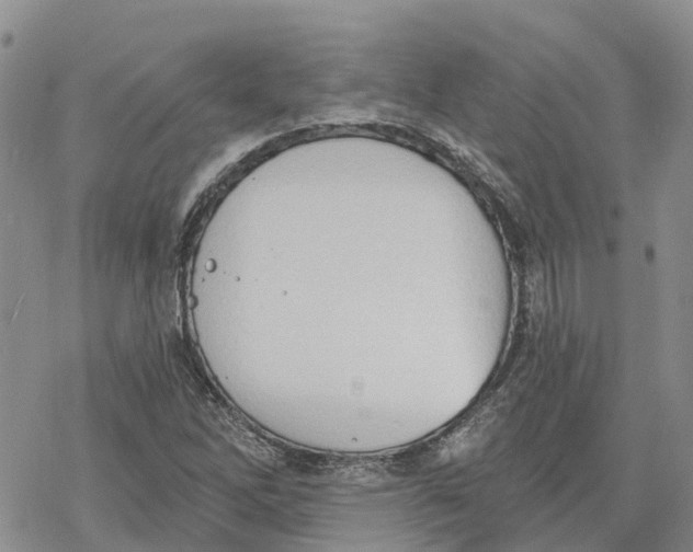 X0000078231262200611251205