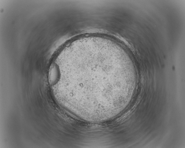 X0000078231263200611251205