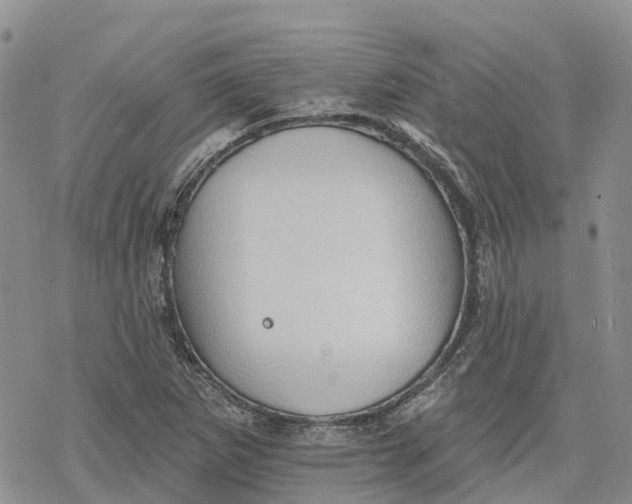 X0000078231265200611251205