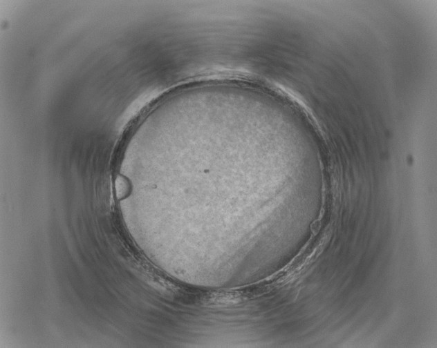 X0000078231267200611251205