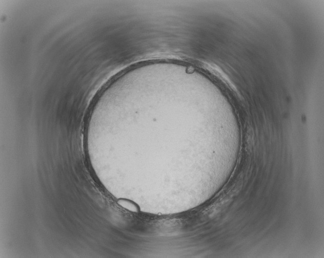 X0000078231268200611251205