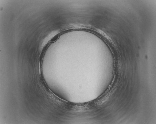 X0000078231269200611251205