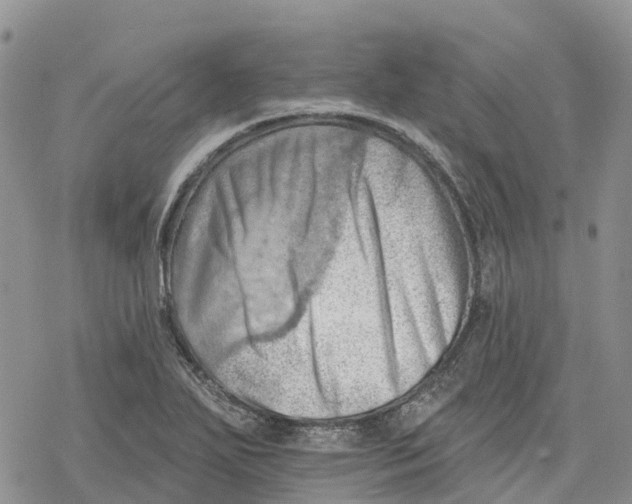 X0000078231271200611251205