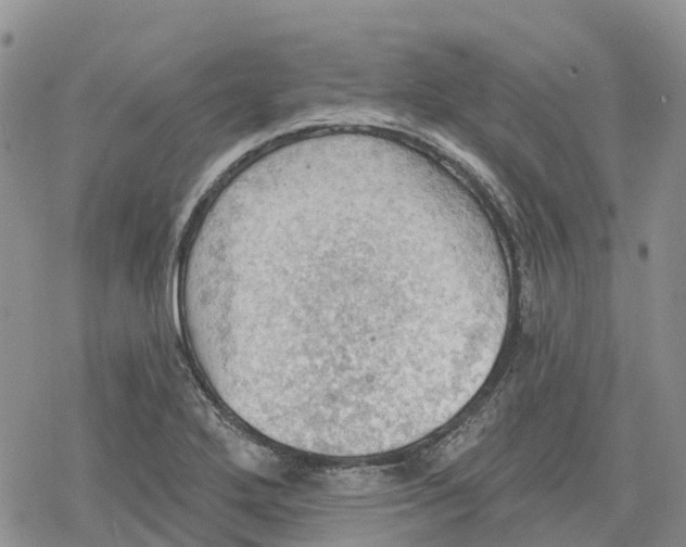 X0000078231272200611251205