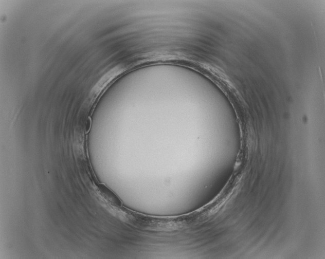 X0000078231273200611251205