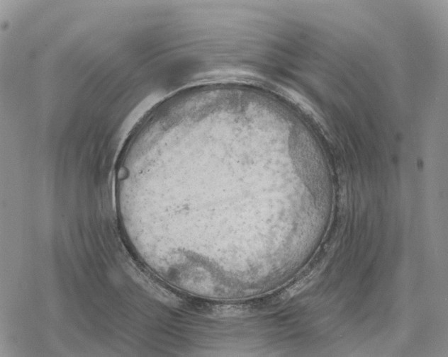 X0000078231275200611251205