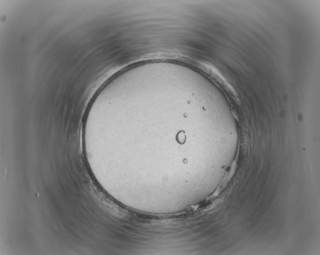 X0000078231276200611251205