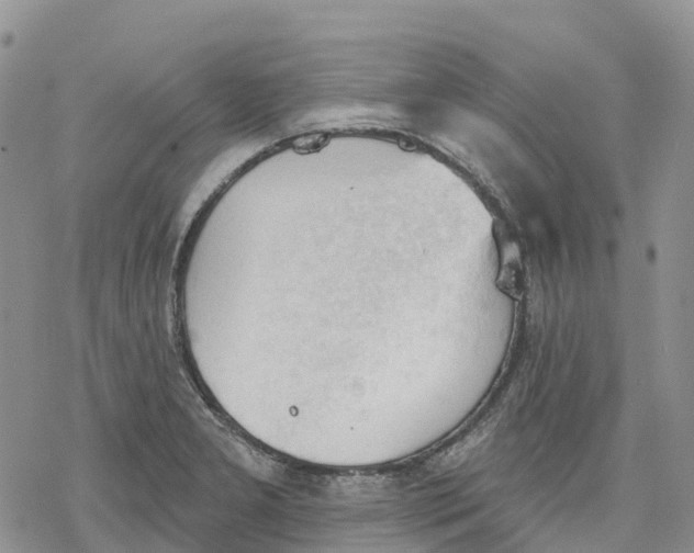 X0000078231277200611251205