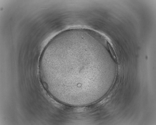 X0000078231279200611251205