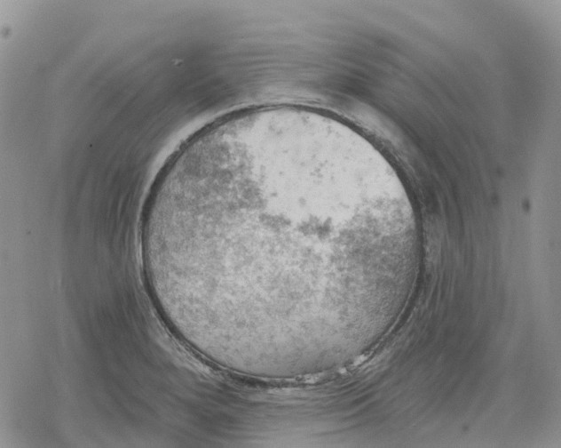 X0000078231280200611251205