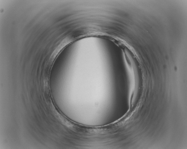 X0000078231281200611251205