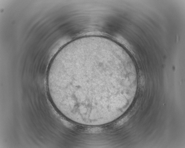 X0000078231282200611251205