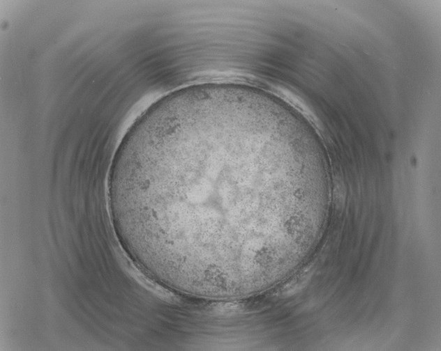 X0000078231283200611251205