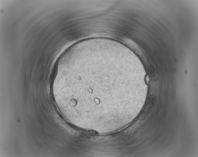 X0000078231284200611251205