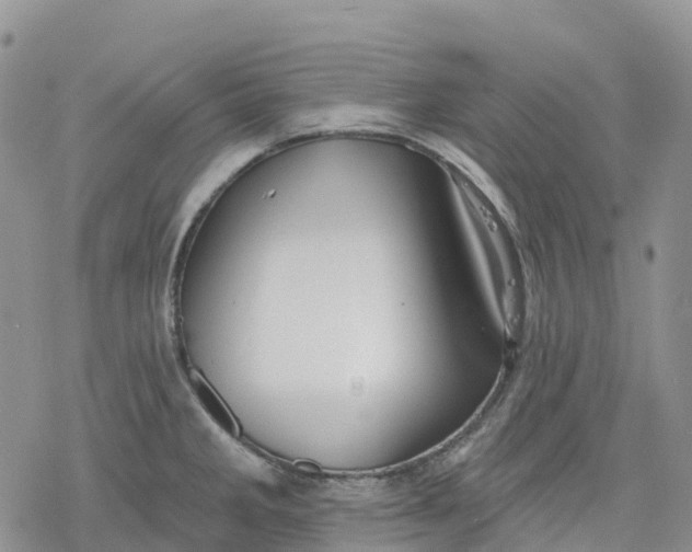 X0000078231285200611251205