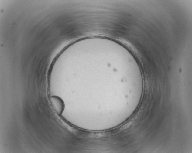 X0000078231286200611251205