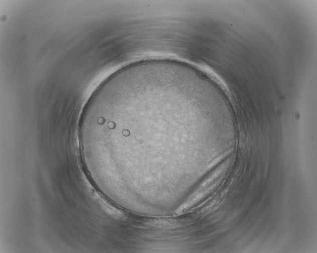 X0000078231287200611251205