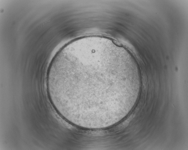 X0000078231288200611251205