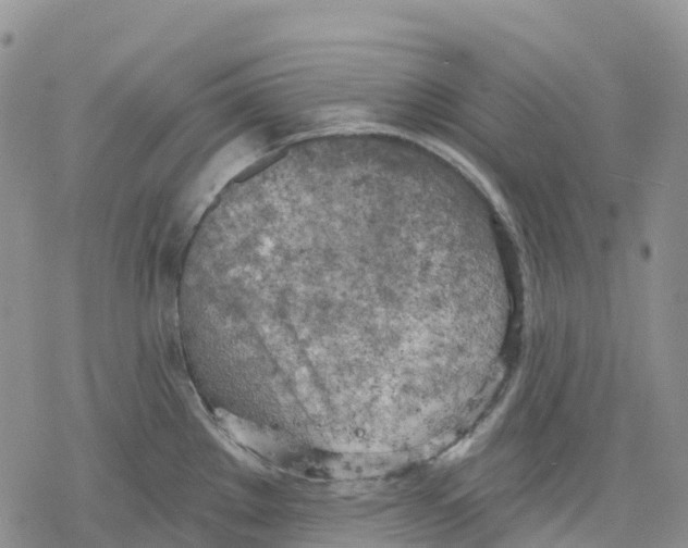 X0000078231289200611251205