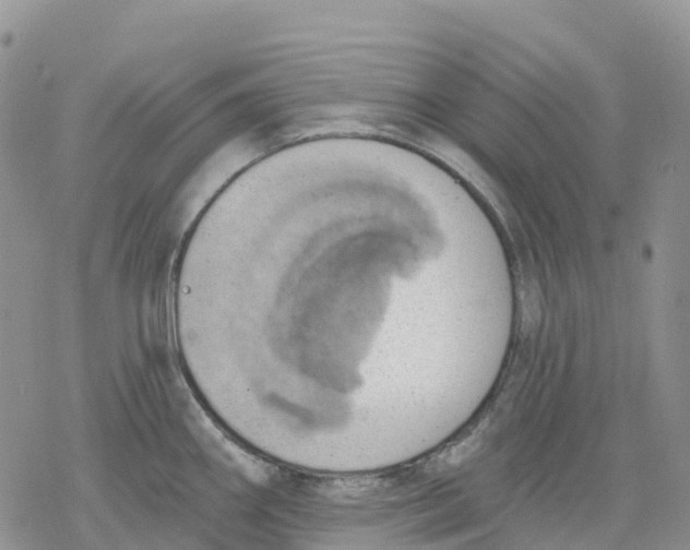 X0000078231290200611251205