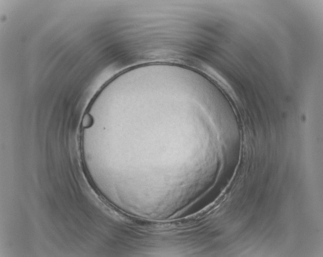 X0000078231291200611251205