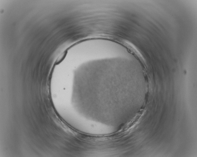 X0000078231292200611251205