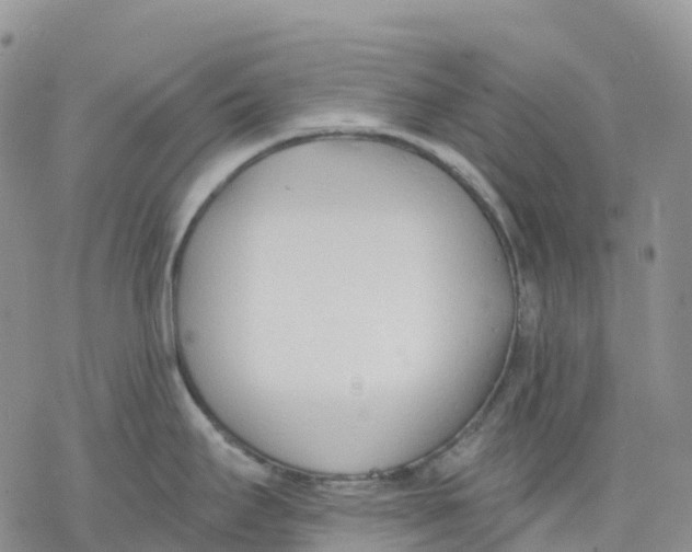 X0000078231295200611251205