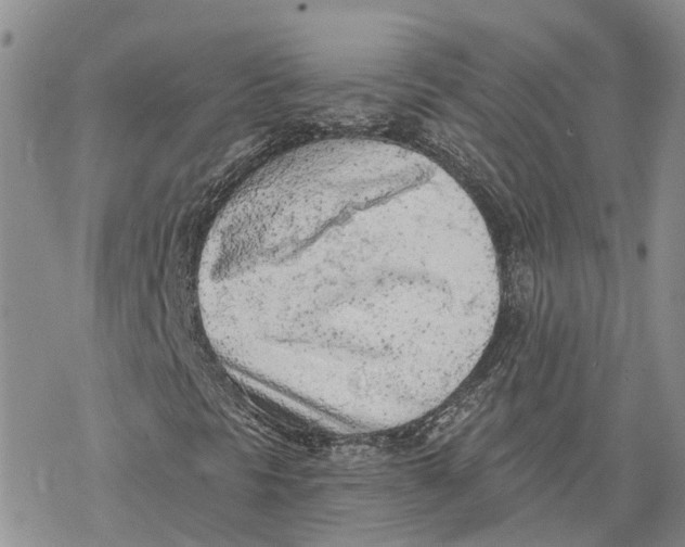 X0000078231297200611251204