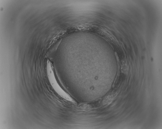 X0000078231298200611251204