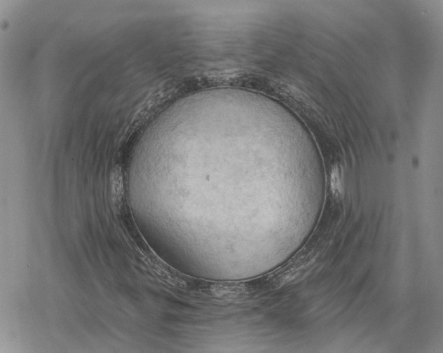 X0000078231299200611251204