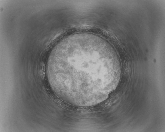 X0000078231301200611251204