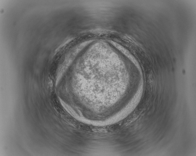 X0000078231302200611251204