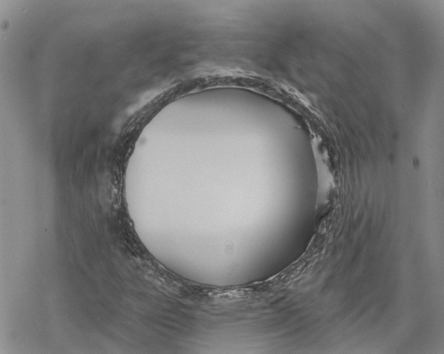 X0000078231303200611251204