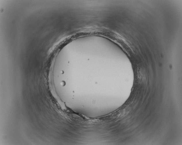 X0000078231304200611251204