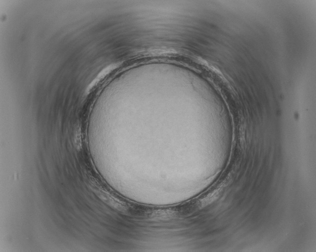 X0000078231306200611251204