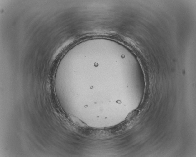 X0000078231307200611251204