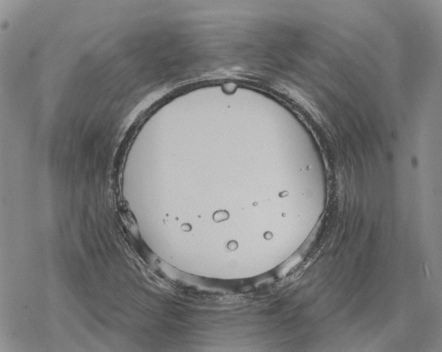 X0000078231308200611251204