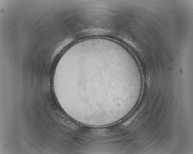 X0000078231309200611251204