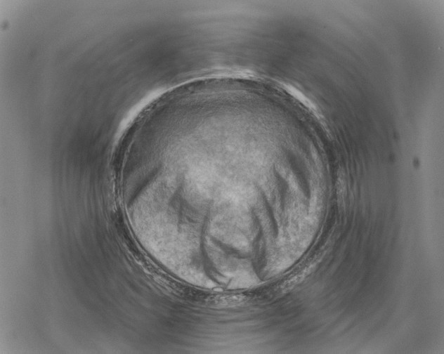 X0000078231310200611251204