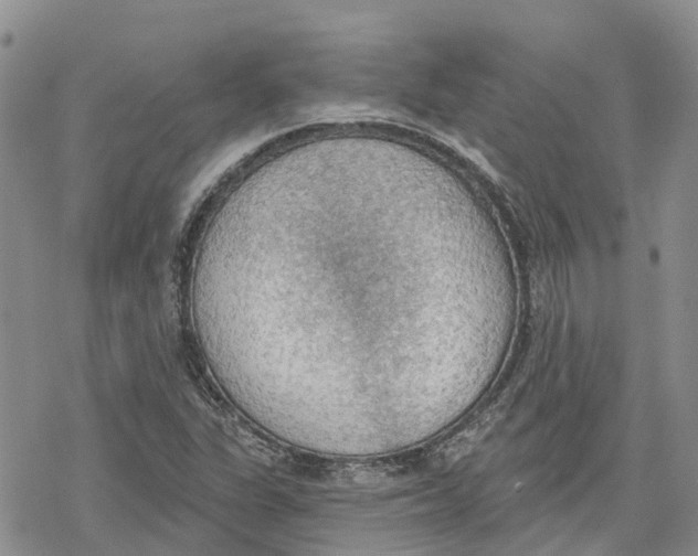 X0000078231311200611251204