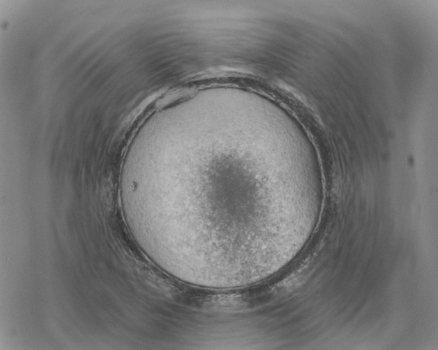 X0000078231313200611251204