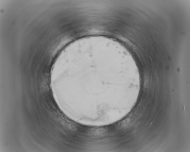 X0000078231314200611251204