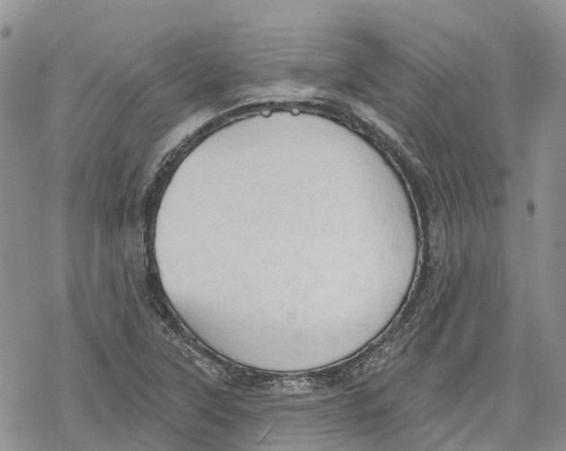 X0000078231315200611251204