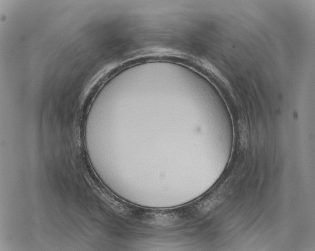 X0000078231318200611251204